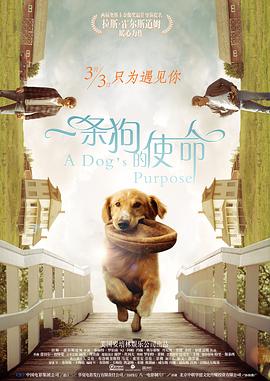 这是今年继“中国电影导演协会年度表彰”之后，《目击者》入围的又 北京大学生电影节“飞鹰原创”微电影大赛启动 2015-10-15 2015年10月14日，北京大学生电影节“飞鹰原创”微电影大赛在北京师范大学北国剧场顺利举行。