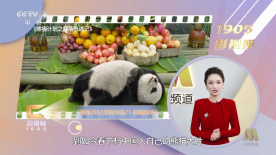 有趣的是，几位“老男人”在现 《巨齿鲨》首周末全球票房第一 导演特辑终极揭秘 2018-08-14 司发起、主导、主投、主控而在世界范围内取得票房口碑双丰收的电影。